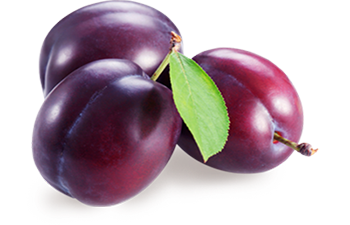 plum.png