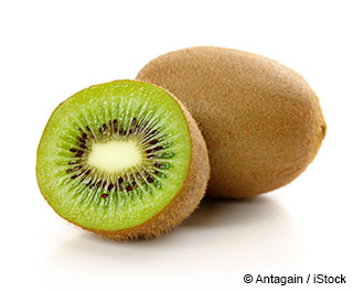 kiwi.jpg