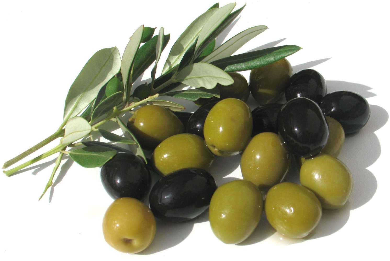 olives.jpg