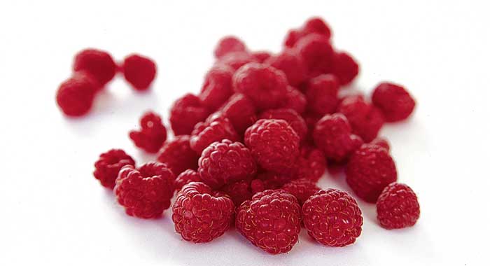 raspberries.jpg