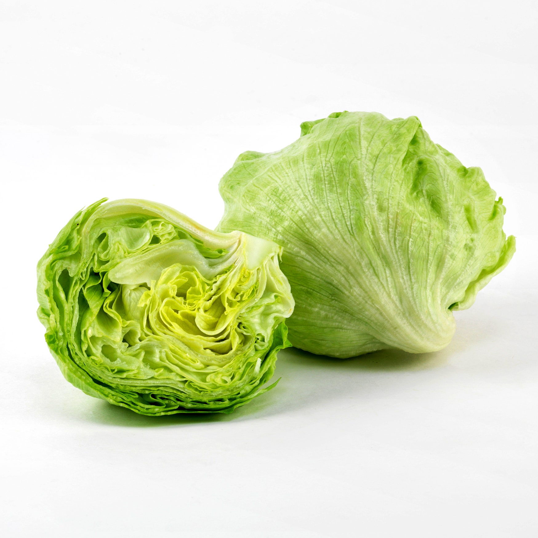 lettuce.jpg