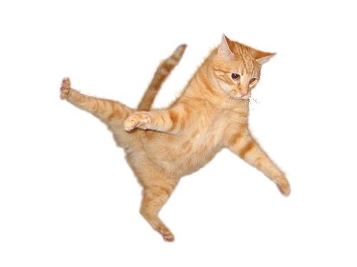 cat.png