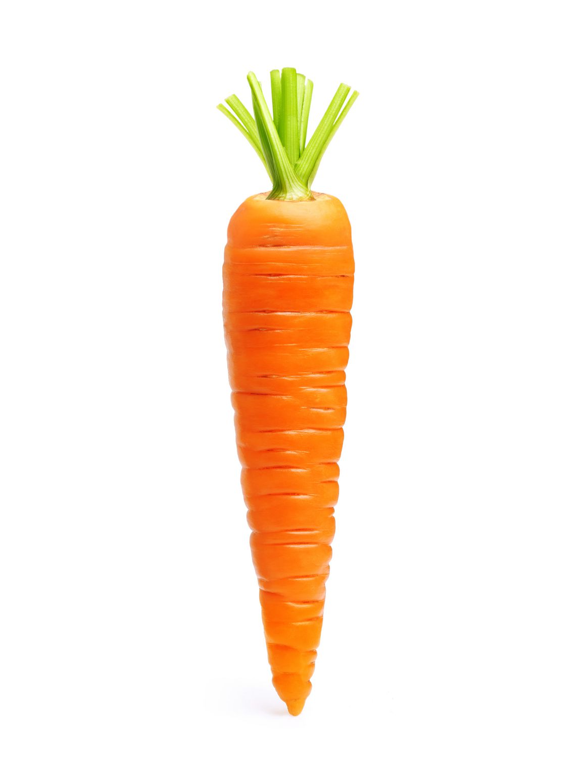 carrot.jpg