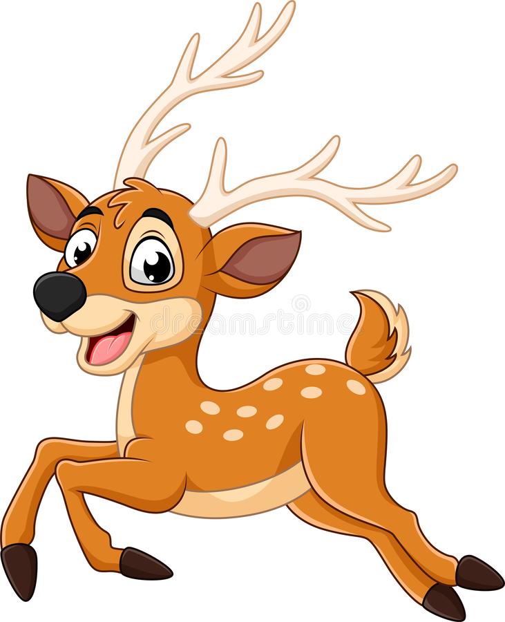 deer