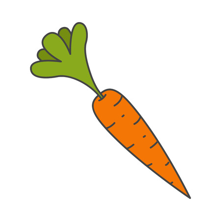 104807541-ripe-carrot-with-leaves-flat-vector-icon.jpg