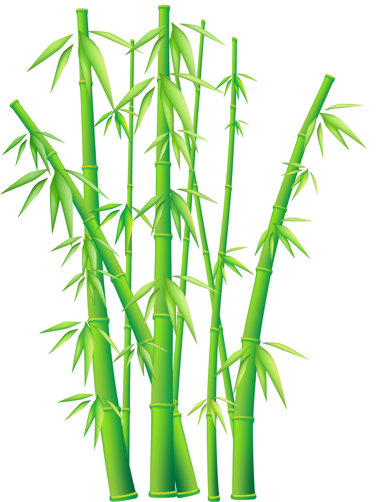 Bamboo-PNG-File.png