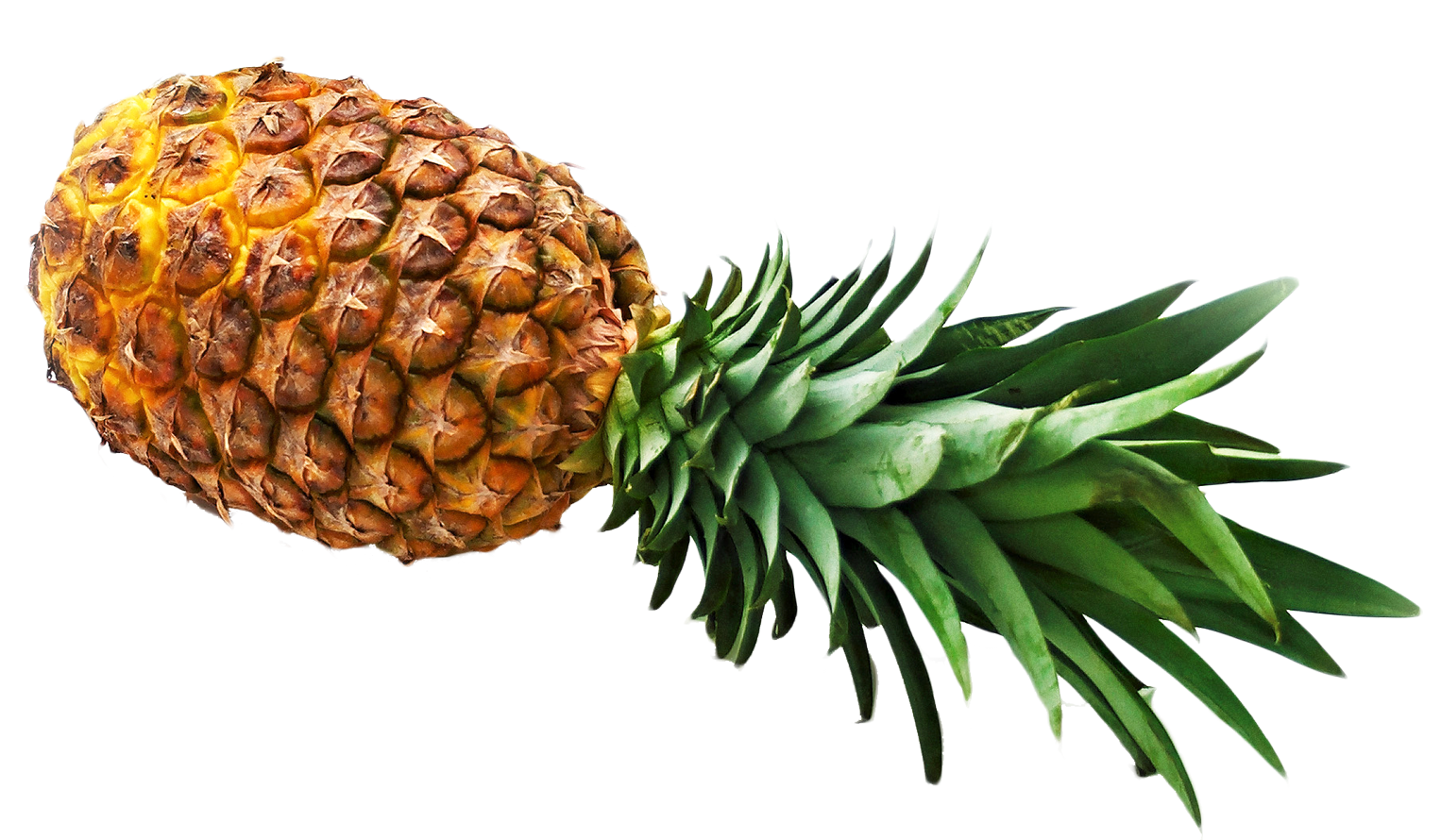 ananas5.png