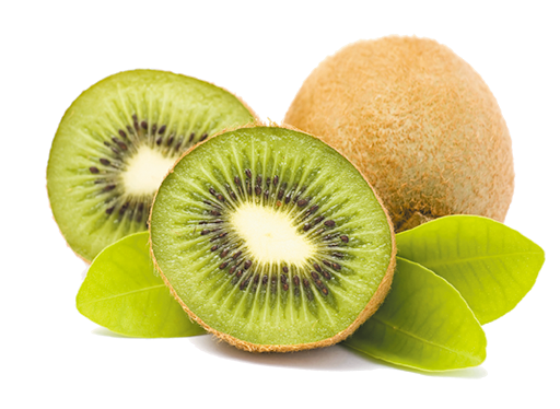 kiwi2.png